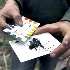 Testing Soil PH Balance
