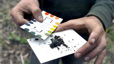 Testing Soil PH Balance