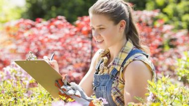Designing a Flower Garden